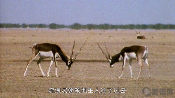 02.jpg